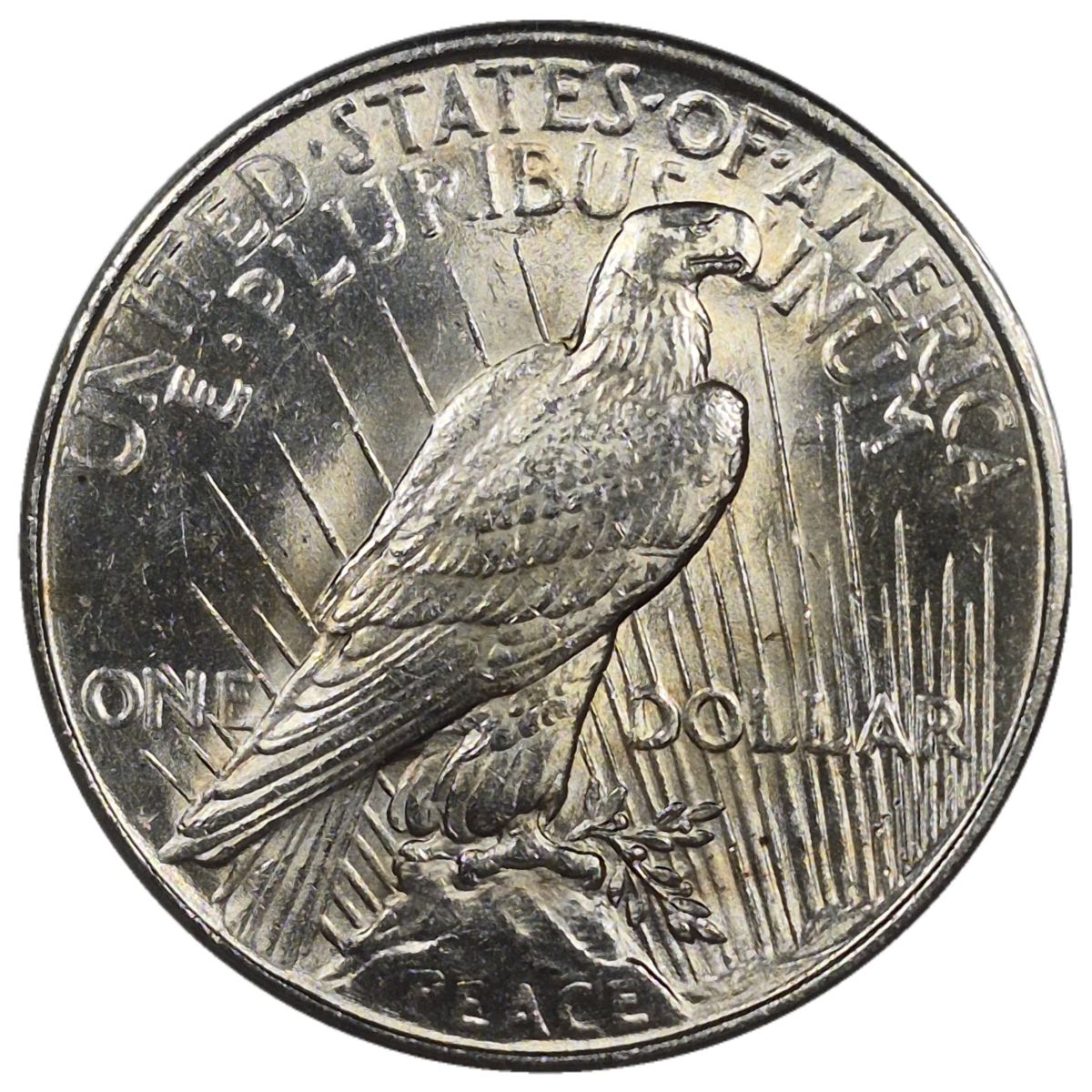 1922-$1-Peace-Dollar-#11---12-Of-143